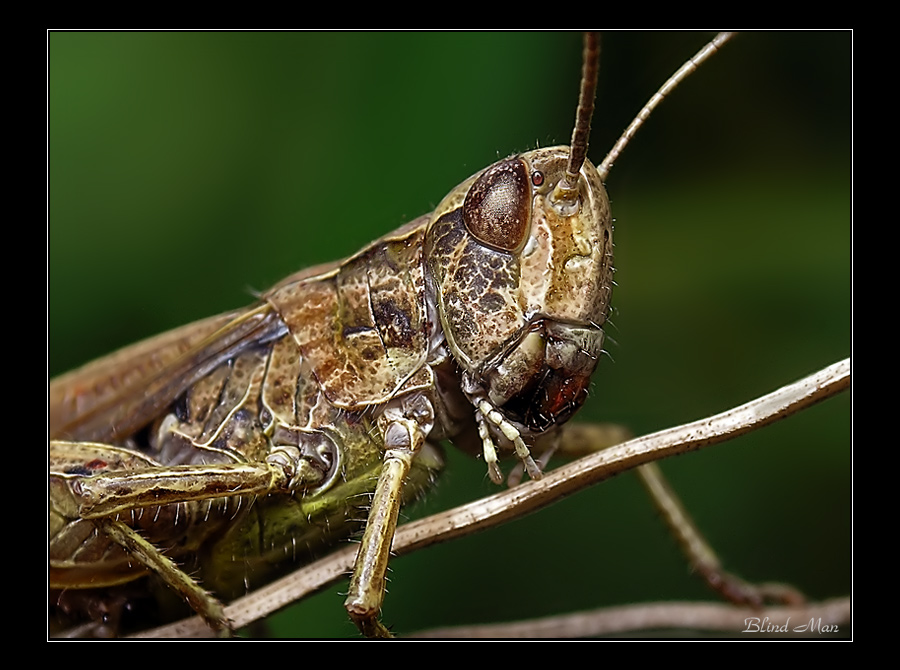 Броня крепка :)