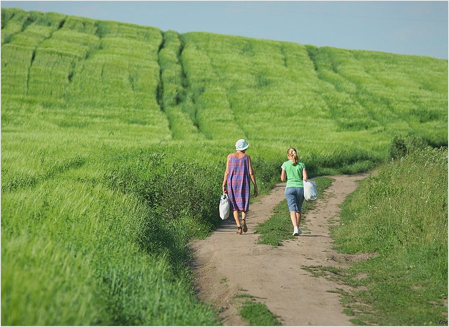 придорожная