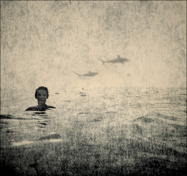 простоморе