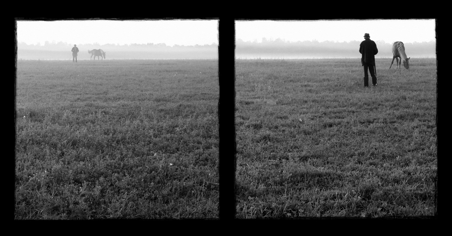 пра коныка ...