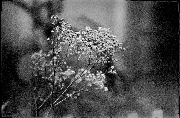 История про дыхание в безветренную погоду