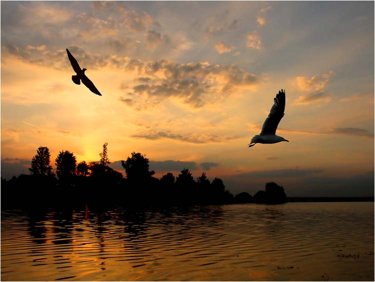 Утренний облет территории