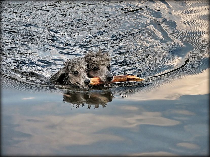 разам мы мацнейшыя!