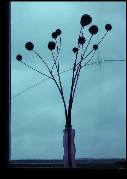 Тысяча минут одиночества