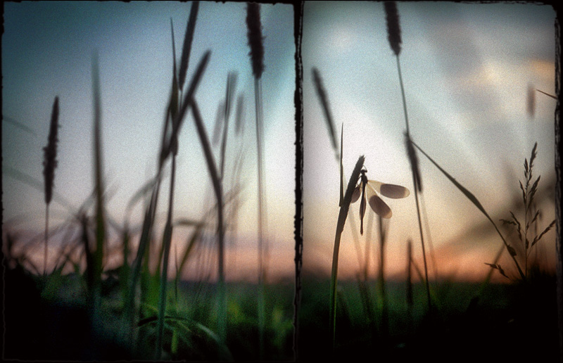 Запомнить это лето