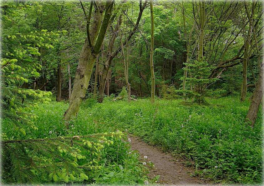 травеньская