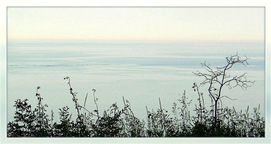 Антарыё летні, сьпякотнае марава