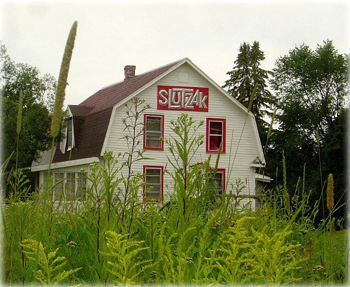 згубіўшыся ў мускокскіх травах