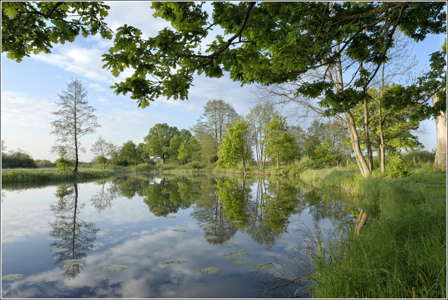 Утро на Немане