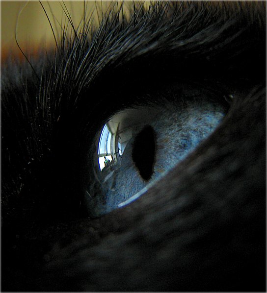 з пункту гледжаньня...