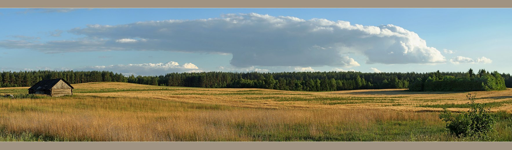Июль в Городище.