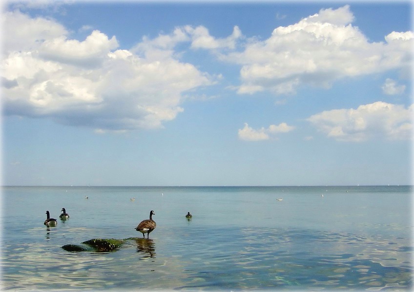 затрымай над вачыма руку