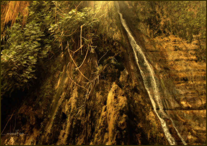 машло машлянное