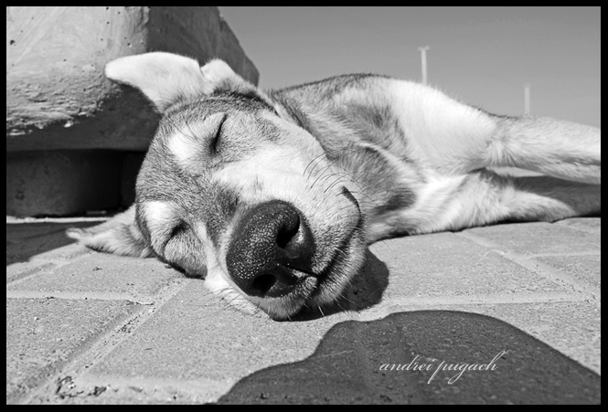 Когда снятся радужные сны. :)