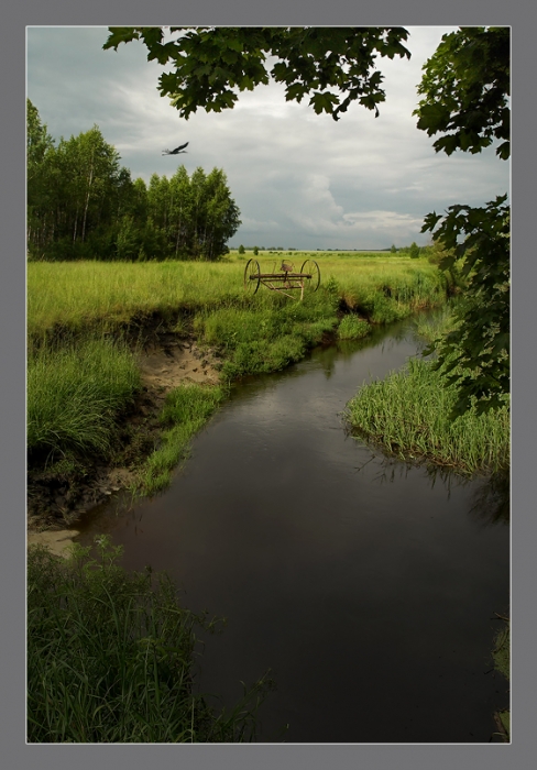 Дожди над Полесьем