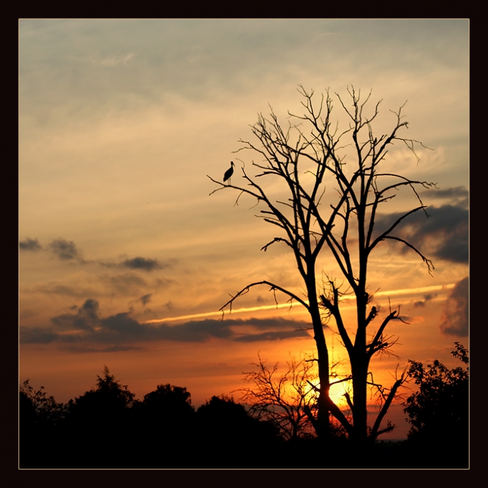 Страж огня...