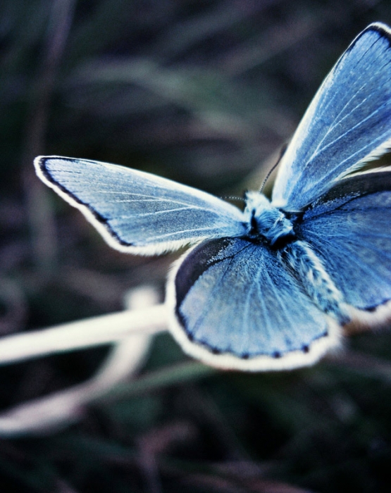 затаив дыхание...