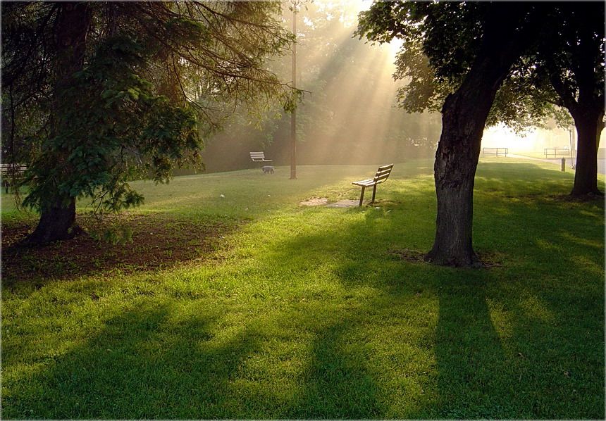 ранішняя песьня ракуна