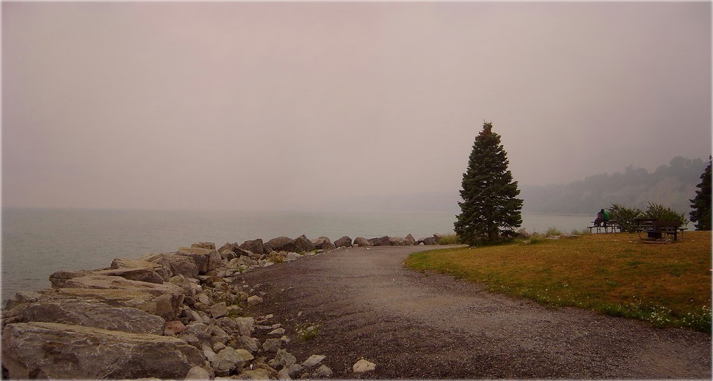 непазбежнасьць восені жыве..