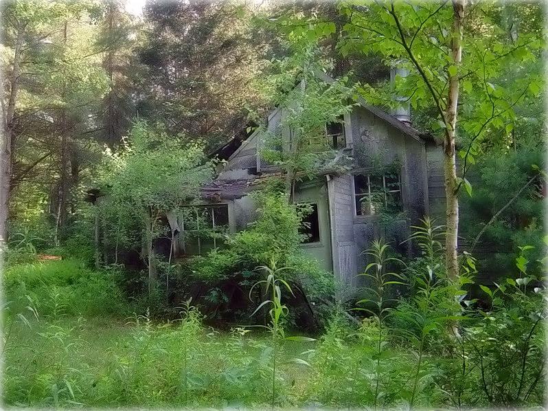 Аліса тут болей не жыве