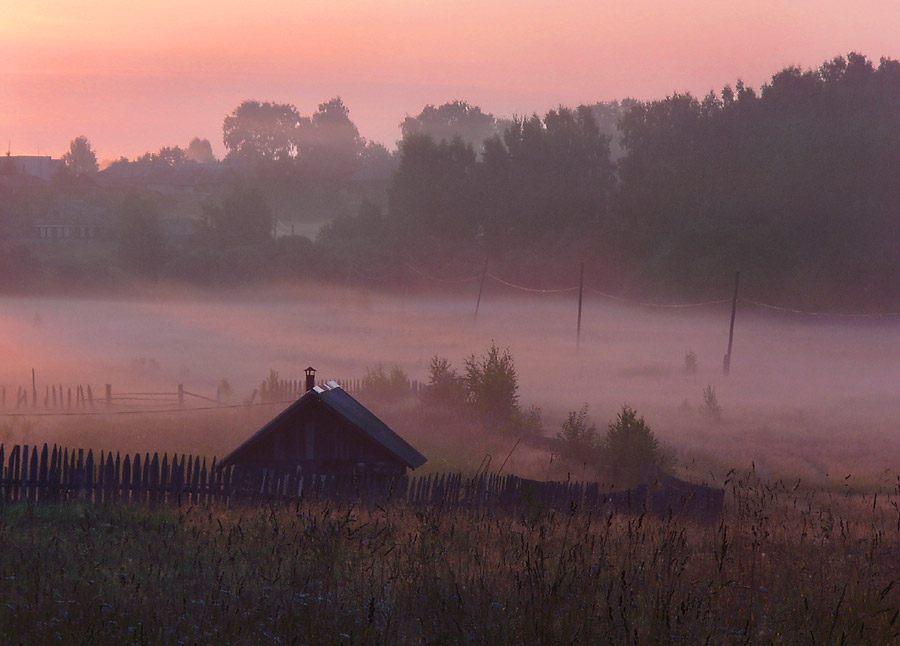 Туманное утро