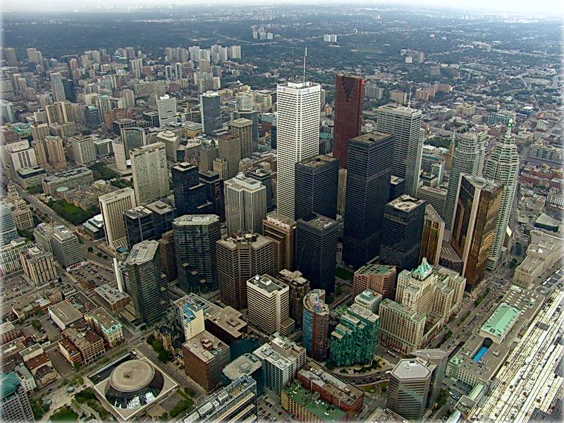 ...ты -- цветок из камня