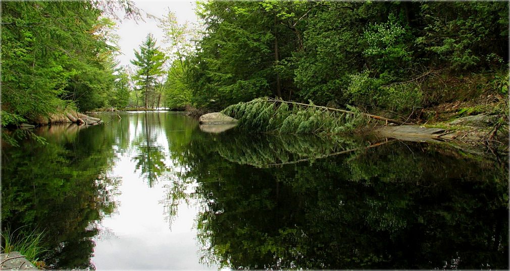 шэпат безназоўнай ручаіны..