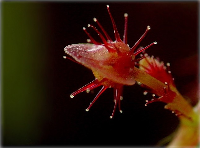 я пачынаю шлях