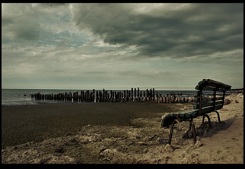 там где птицы