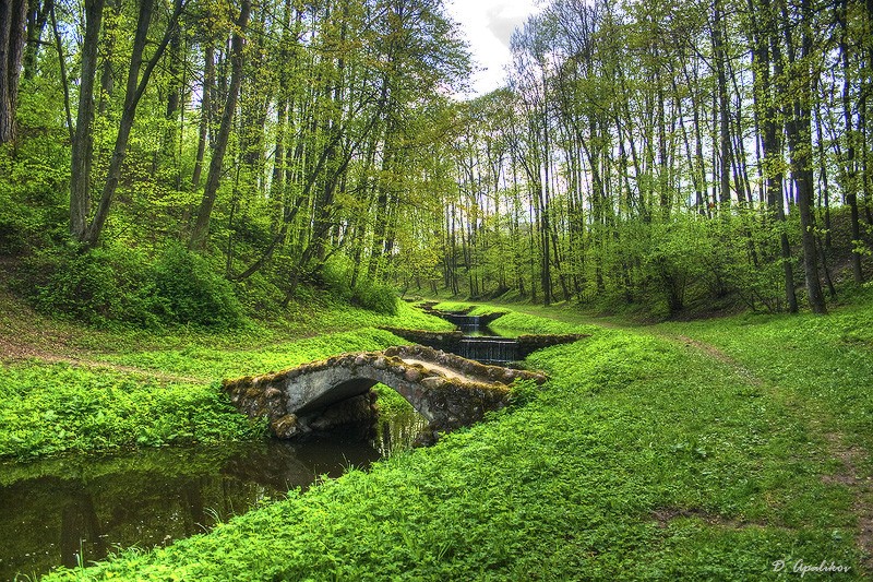 Прогулка в старом парке