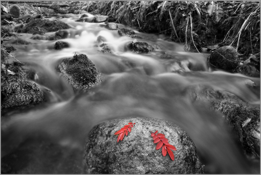 осенний этюд