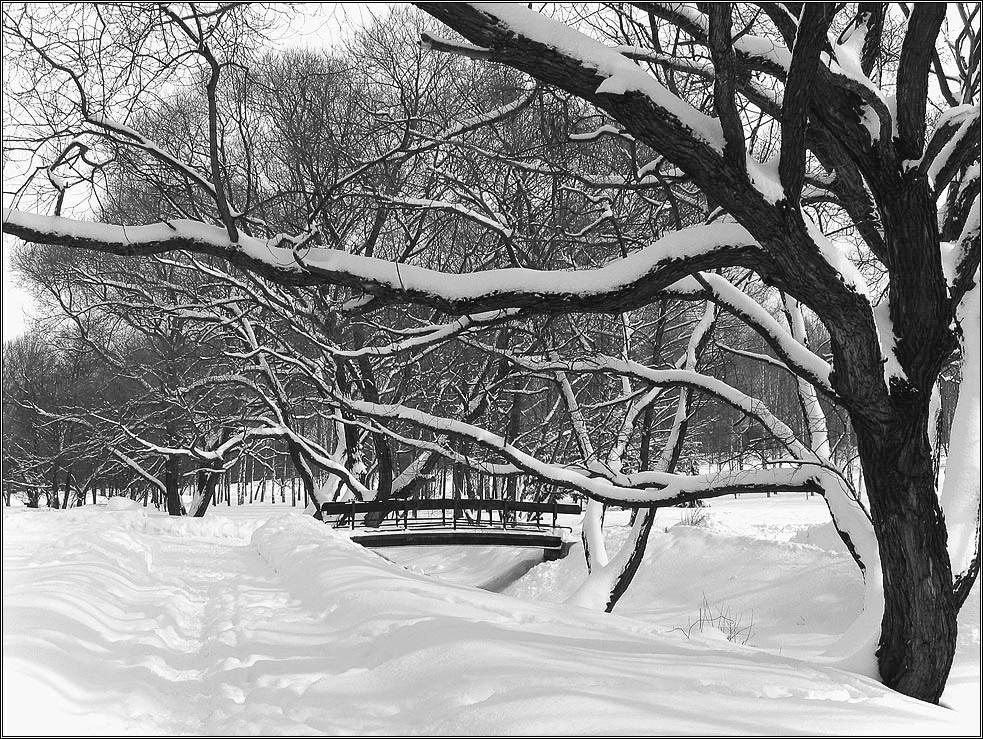 Пушистая графика