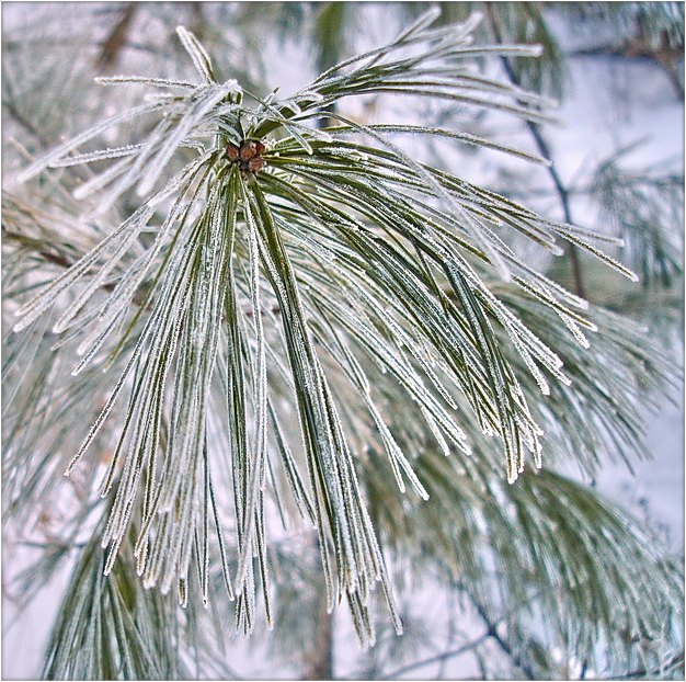 каляндарны настрой. студзень
