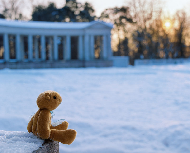 Cолнечный зайчик (в костюме мишки)