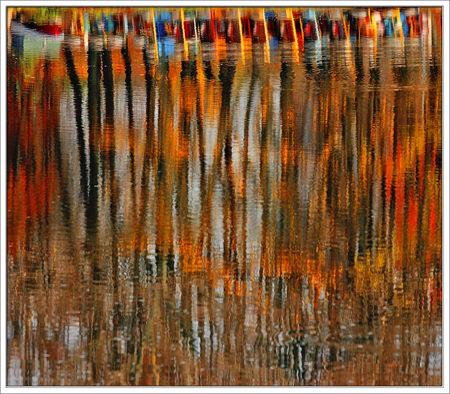 Про то, что спрятал снег  (репост)