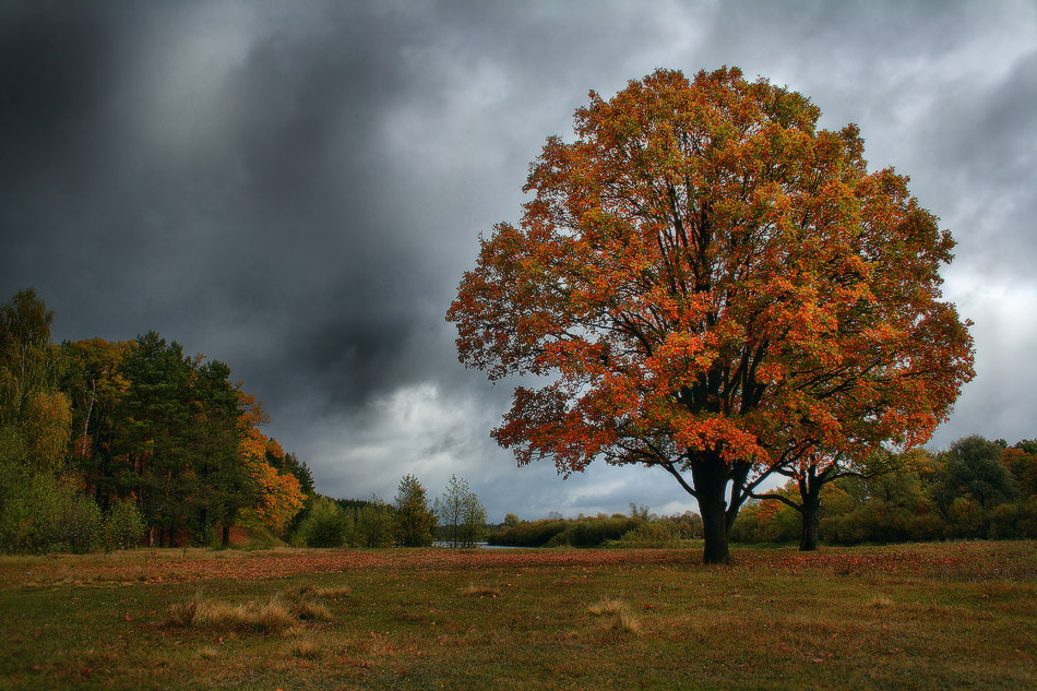 Осенее Настроение