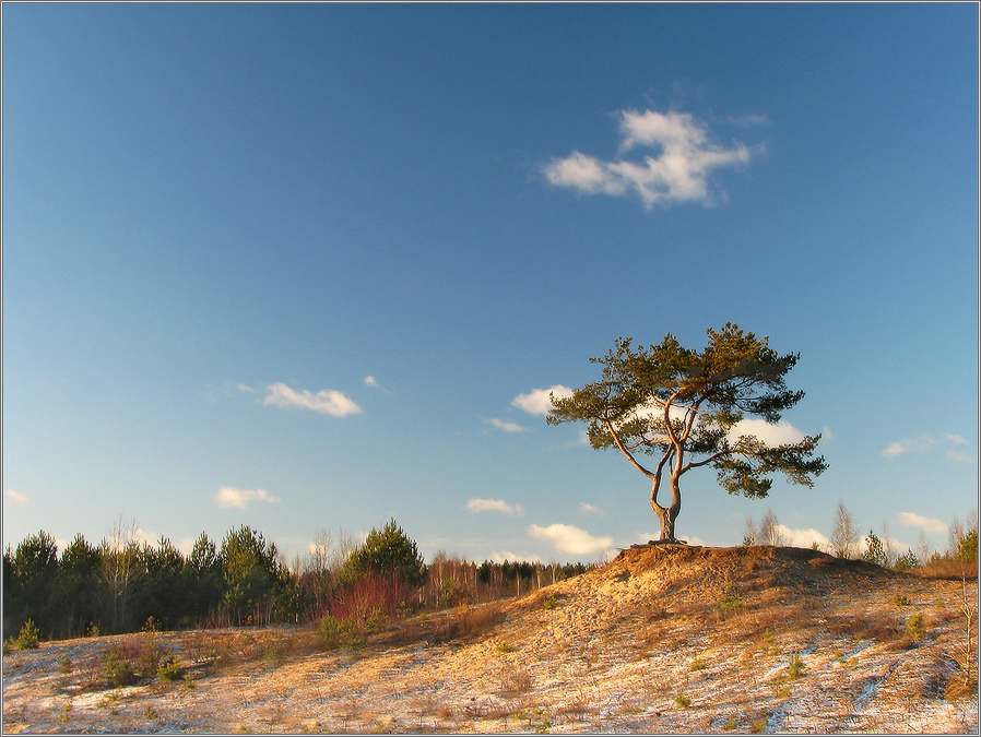 летела стая облаков...