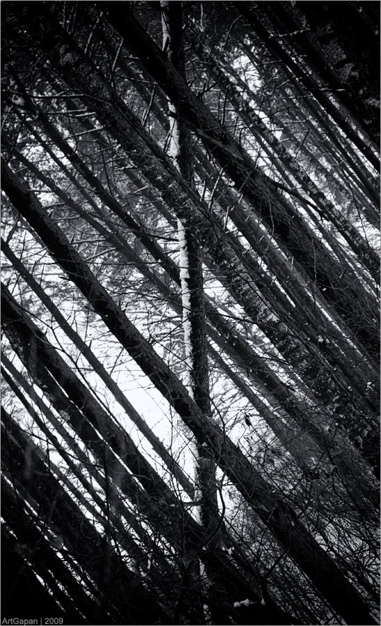 ...против ВСЕХ!!!