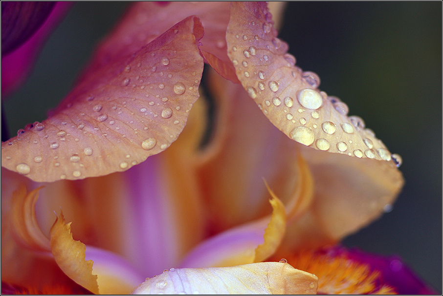 Домик для дюймовочки