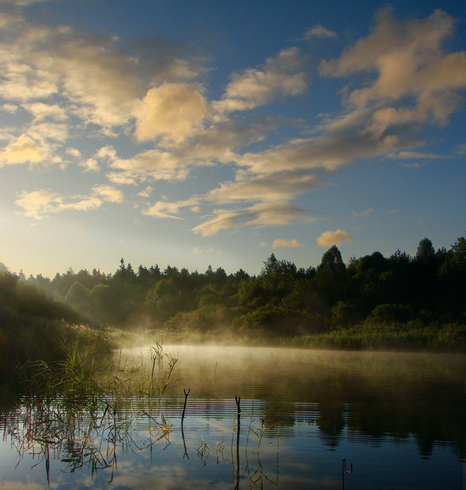 Пробуждение....