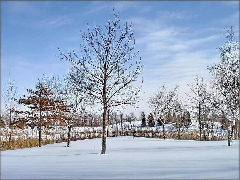 сінее на белым, белае на сінім..