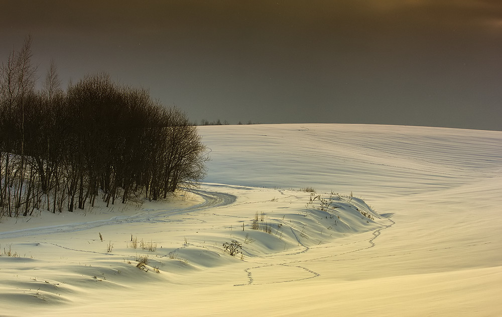Февральская зарисовка