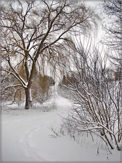 ціхая зіма ..2