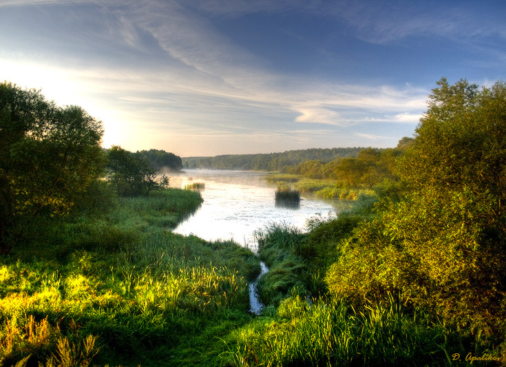 Просыпается природа