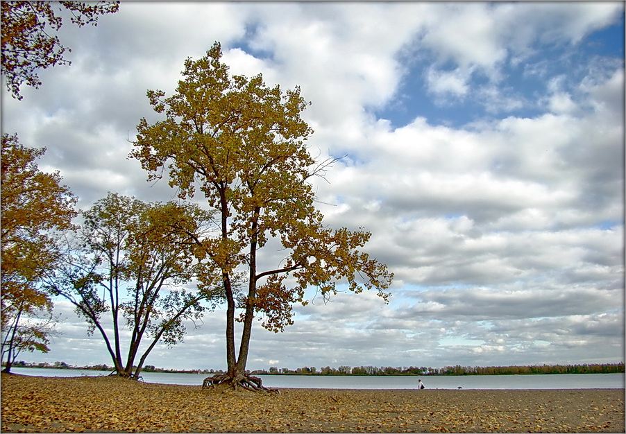 восеньскі эцюд
