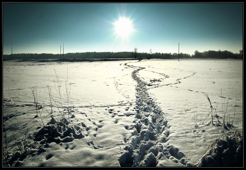 Дорога к солнцу...