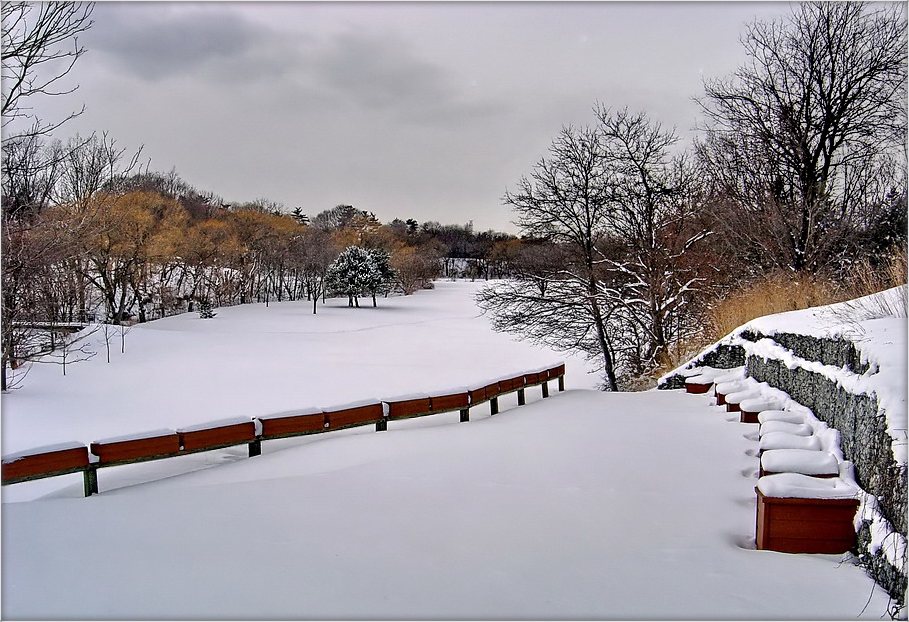 на гольфных палях