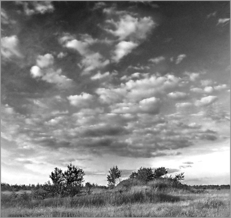 однажды в августе