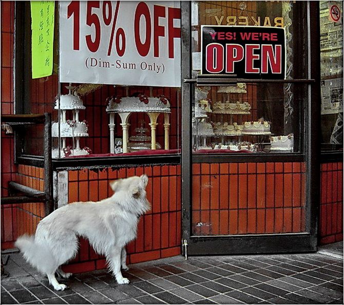 скока, скока? пучок или штучка?