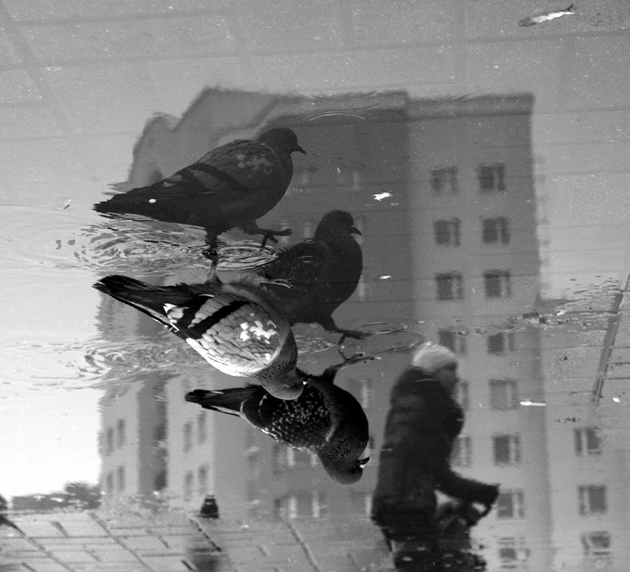 Городские жители2